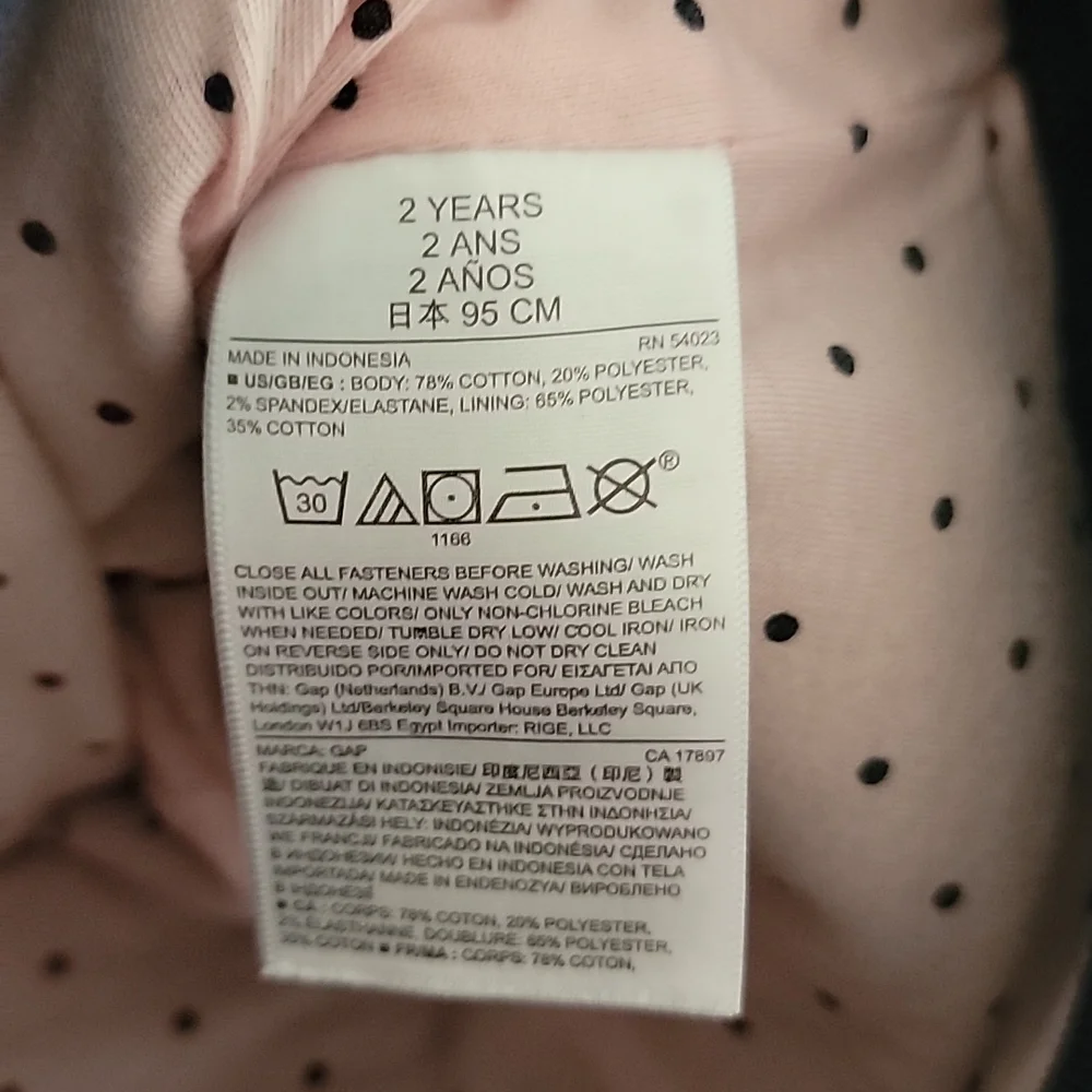 Baby Gap 1969 Blue Corduroy Pink Lined Pants